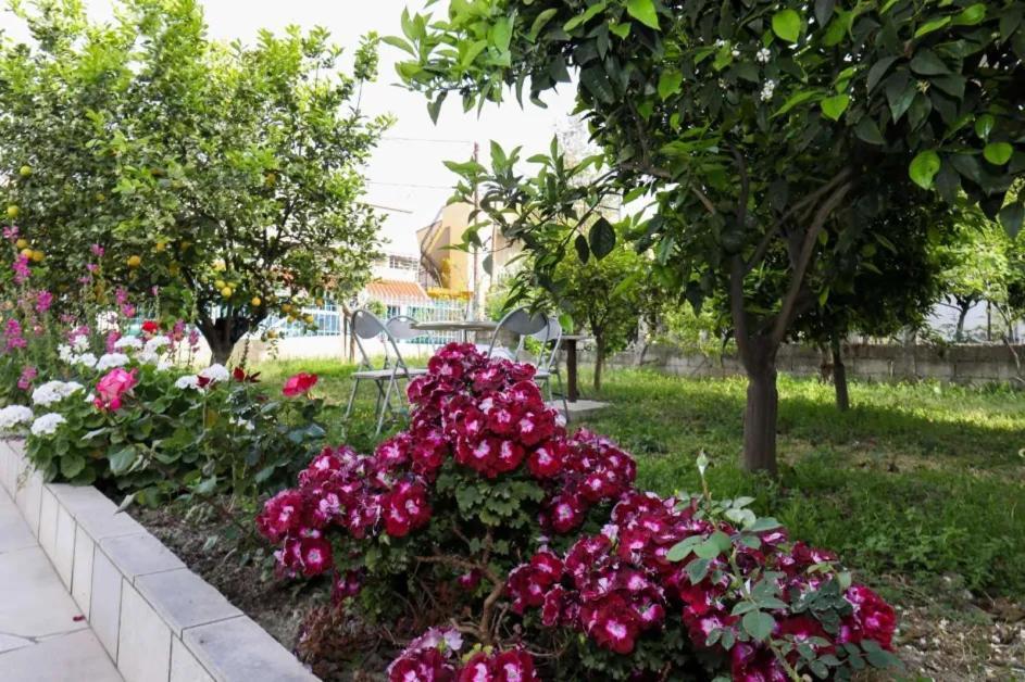 Vila Agolli Vlore Exterior photo